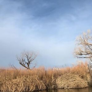 Meet your Posher, Dorota